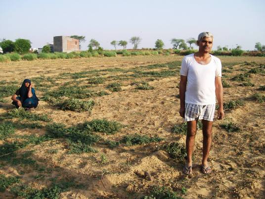 Itinerant farmer in Aligarh